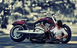 Harley Davidson